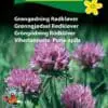 Rødkløver frø – Blomsterfrø til bivenlig kløver – Grøngødning