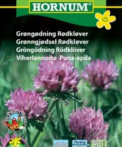 Rødkløver frø – Blomsterfrø til bivenlig kløver – Grøngødning