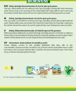 Blomster blanding salat – Spiselige blomster – Blomsterfrø til 75m2