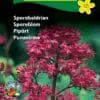 Sporebaldrian – Flerårig blomsterglæde – Blomsterfrø