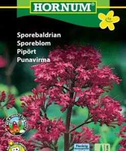 Sporebaldrian – Flerårig blomsterglæde – Blomsterfrø