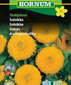 Solsikke frø – Lave solsikker. Fyldte og tidlige “Teddybear” – Blomsterfrø