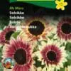 Solsikke frø – Mellemhøj “Ms Mars” – Blomsterfrø