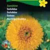 Solsikke frø – Fyldt solsikke “Sunshine” – Blomsterfrø