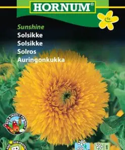 Solsikke frø – Fyldt solsikke “Sunshine” – Blomsterfrø