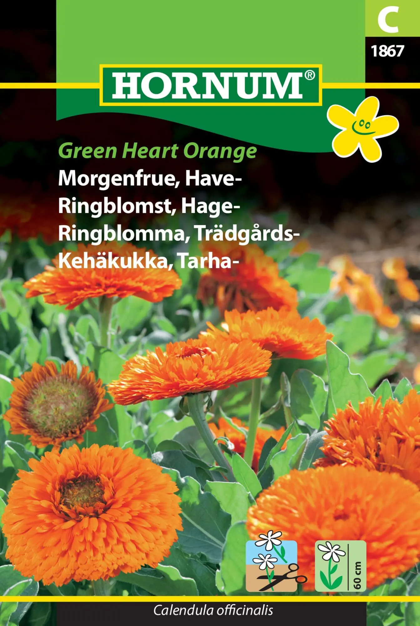 Morgenfrue frø “Green Heart Orange” – Blomsterfrø
