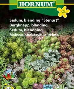 Stenurt Sedum Blanding – Flerårige og hårdføre – Blomsterfrø