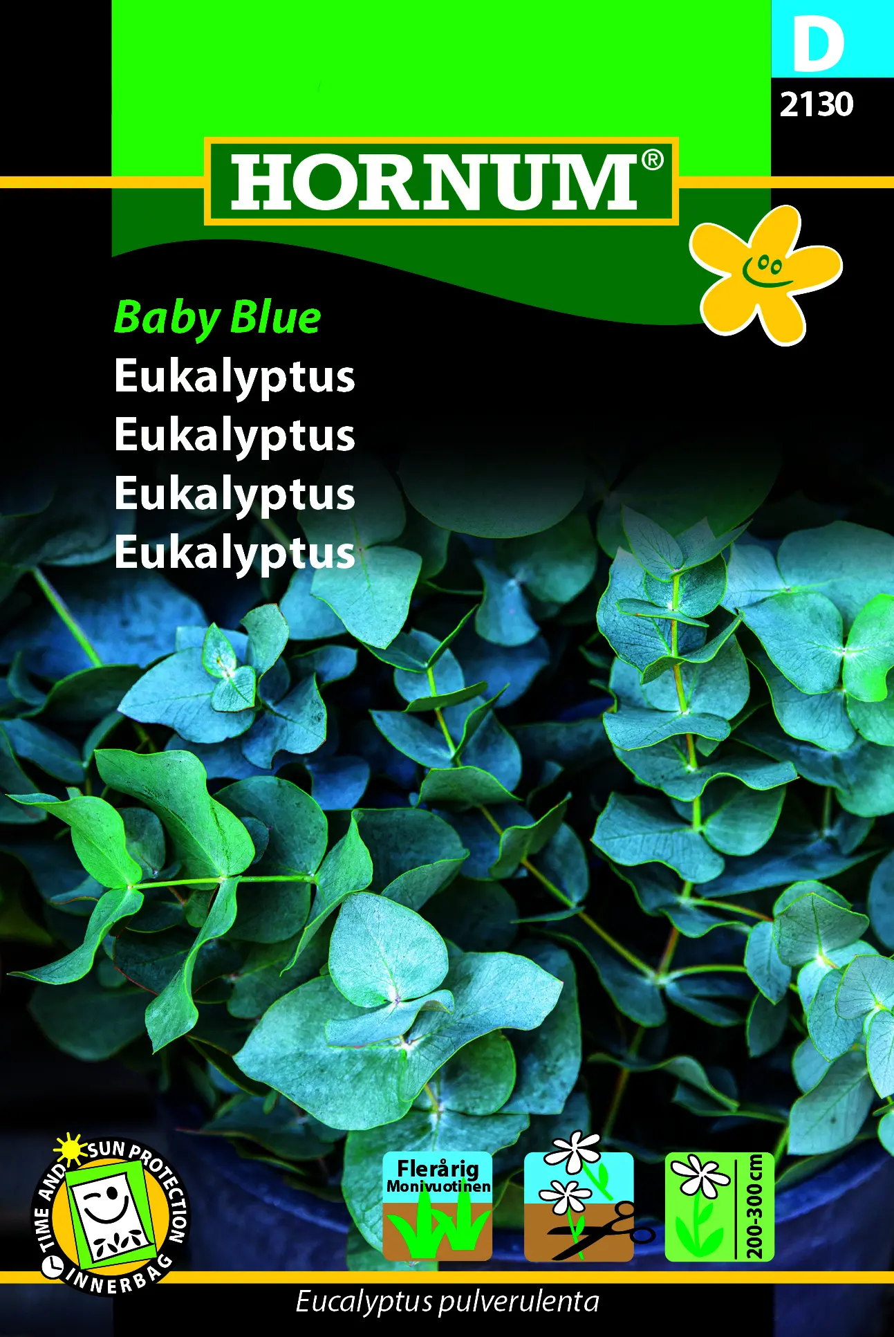 Eukalyptus “Blue baby” – Eucalyptus pulverulenta – Blomsterfrø