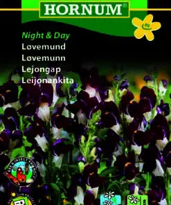 Løvemund “Night and Day” – Usædvanlig farvekombination – Blomsterfrø