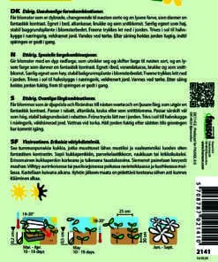 Løvemund “Night and Day” – Usædvanlig farvekombination – Blomsterfrø