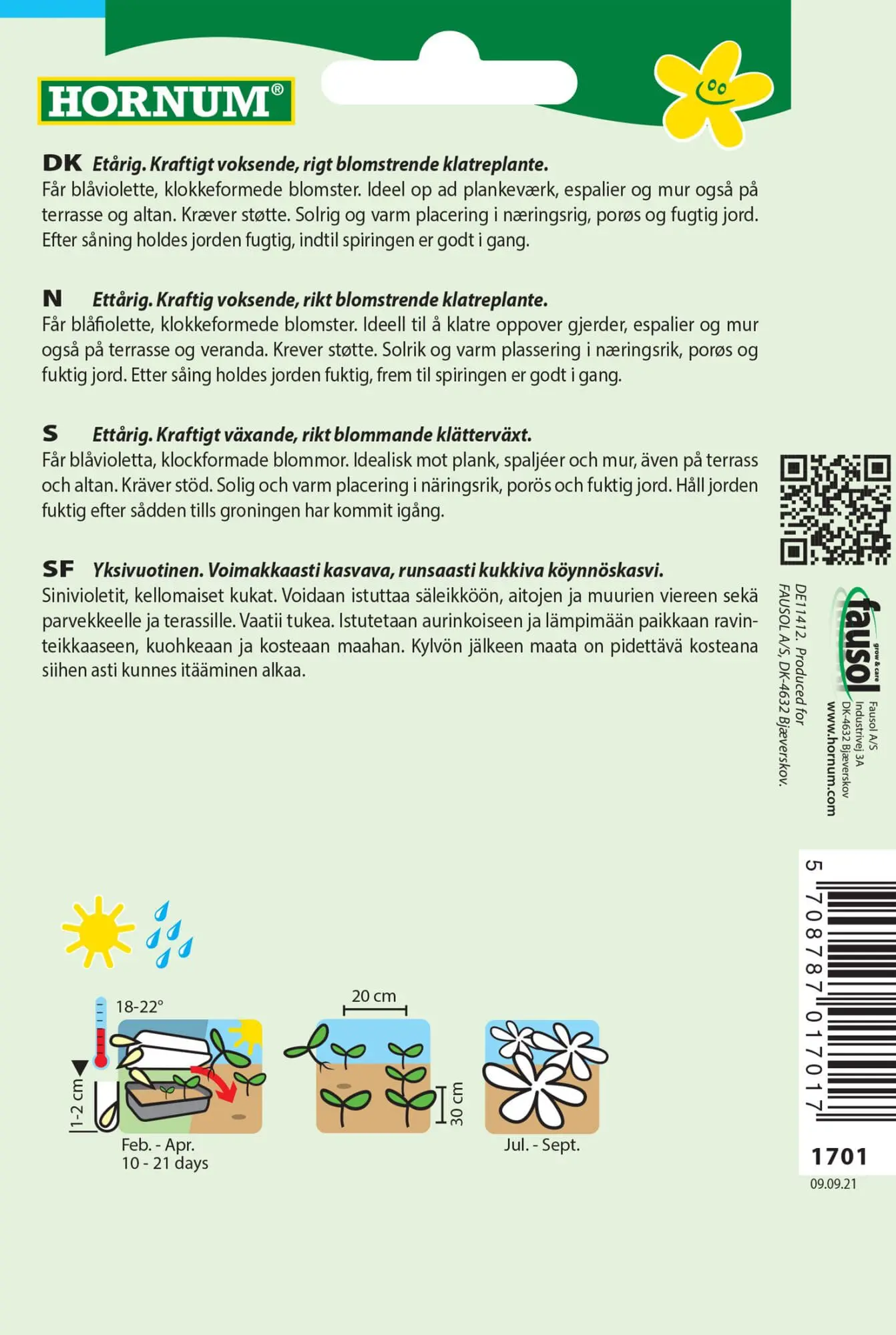 Klokkeranke Viola – kraftig voksende klatreplante- Blomsterfrø