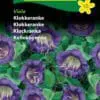 Klokkeranke Viola – kraftig voksende klatreplante- Blomsterfrø