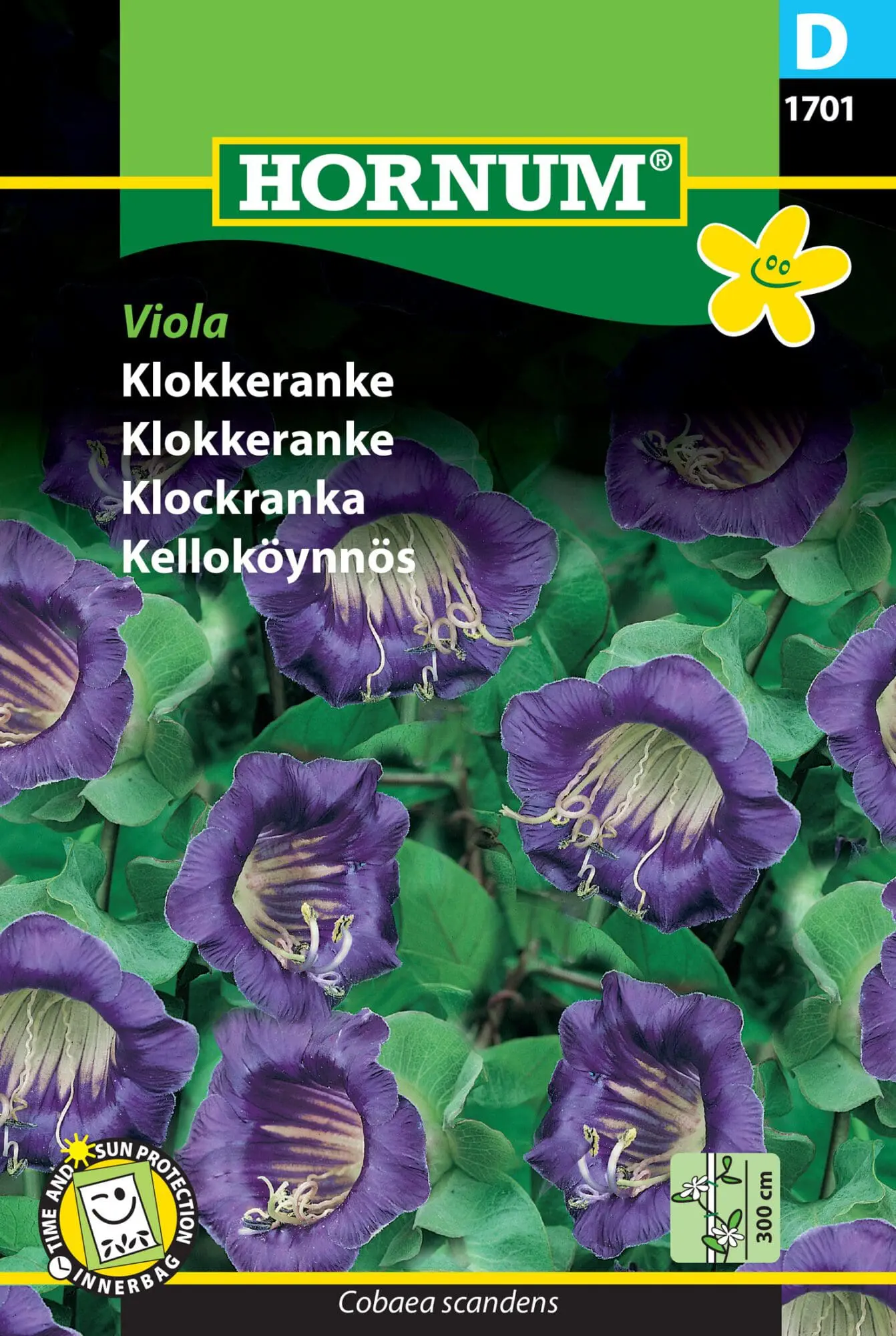 Klokkeranke Viola – kraftig voksende klatreplante- Blomsterfrø