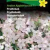 Prydtobak “Avalon Appleblossom” – sart lyserød sommerblomst – Blomsterfrø