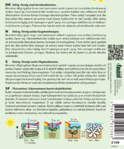 Solhat – “Sahara Mix” – Håret – Smuk blomsterfrø blanding