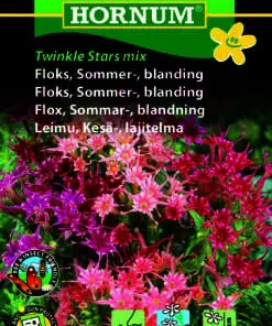 Floks blomsterfrø – Twinkle Stars mix – Sommerblanding – Blomsterfrø