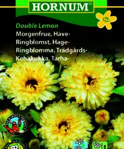 Morgenfrue frø “Double Lemon” blomsterfrø