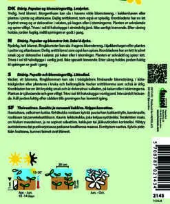 Morgenfruefrø Ivory Princess - villig blomstrende smuk hvid morgenfrue