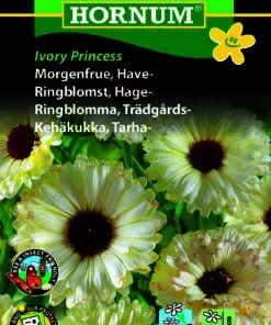 Morgenfruefrø Ivory Princess - villig blomstrende smuk hvid morgenfrue