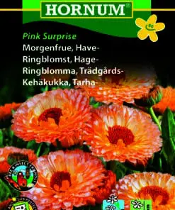 Morgenfrue frø “Pink Surprise” – blomsterfrø selvsående
