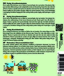 Pragtstjerne – elskes af sommerfugle, bier – Små lilla blomster – Blomsterfrø