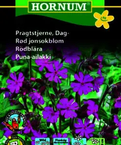 Pragtstjerne – elskes af sommerfugle, bier – Små lilla blomster – Blomsterfrø