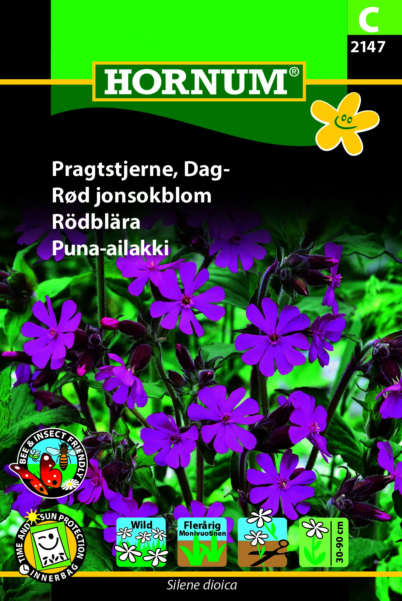 Pragtstjerne – elskes af sommerfugle, bier – Små lilla blomster – Blomsterfrø