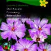 Stolt Kavaler “Cosimo Collarette” yndefulde blomster – Blomsterfrø