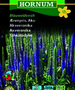 Ærenpris Aks – Blåviolette blomster på lang stilk – Blomsterfrø