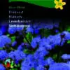 Blåkvast “Blue Mink” – Smuk Blå Blåkvast – Blomsterfrø