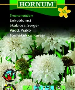 Enkeblomst – Snowmaiden – Duftende hvide blomster – Blomsterfrø.