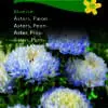 Pæon Asters Blue Ice – Blomsterfrø – Robust og meget holdbar snitblomst