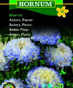 Pæon Asters Blue Ice – Blomsterfrø – Robust og meget holdbar snitblomst