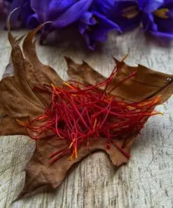 Safrankrokus – “Crocus Sativus” løg (Store) – Dyrk din egen safran med disse safrankrokusløg.