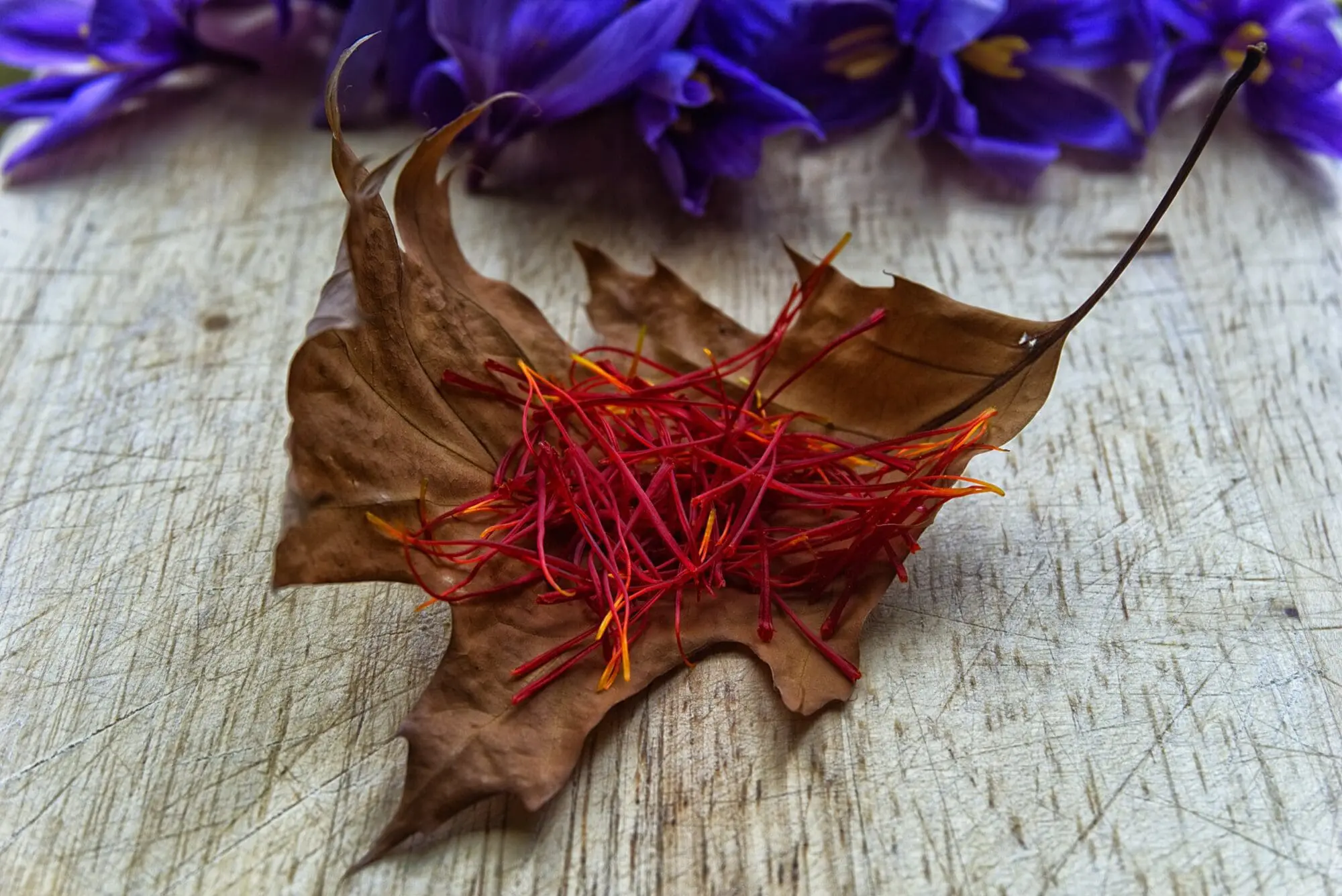 Safrankrokus – “Crocus Sativus” løg (Store) – Dyrk din egen safran med disse safrankrokusløg.