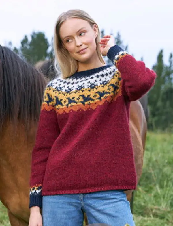Farfuglar en virkelig flot og skøn sweater. Strikkes i Lettlopi. Rød version. Køb på NemHjem.dk til bedste pris.