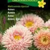 Asters “Matsumoto Apricot” – Abrikosfavede asters – Blomsterfrø