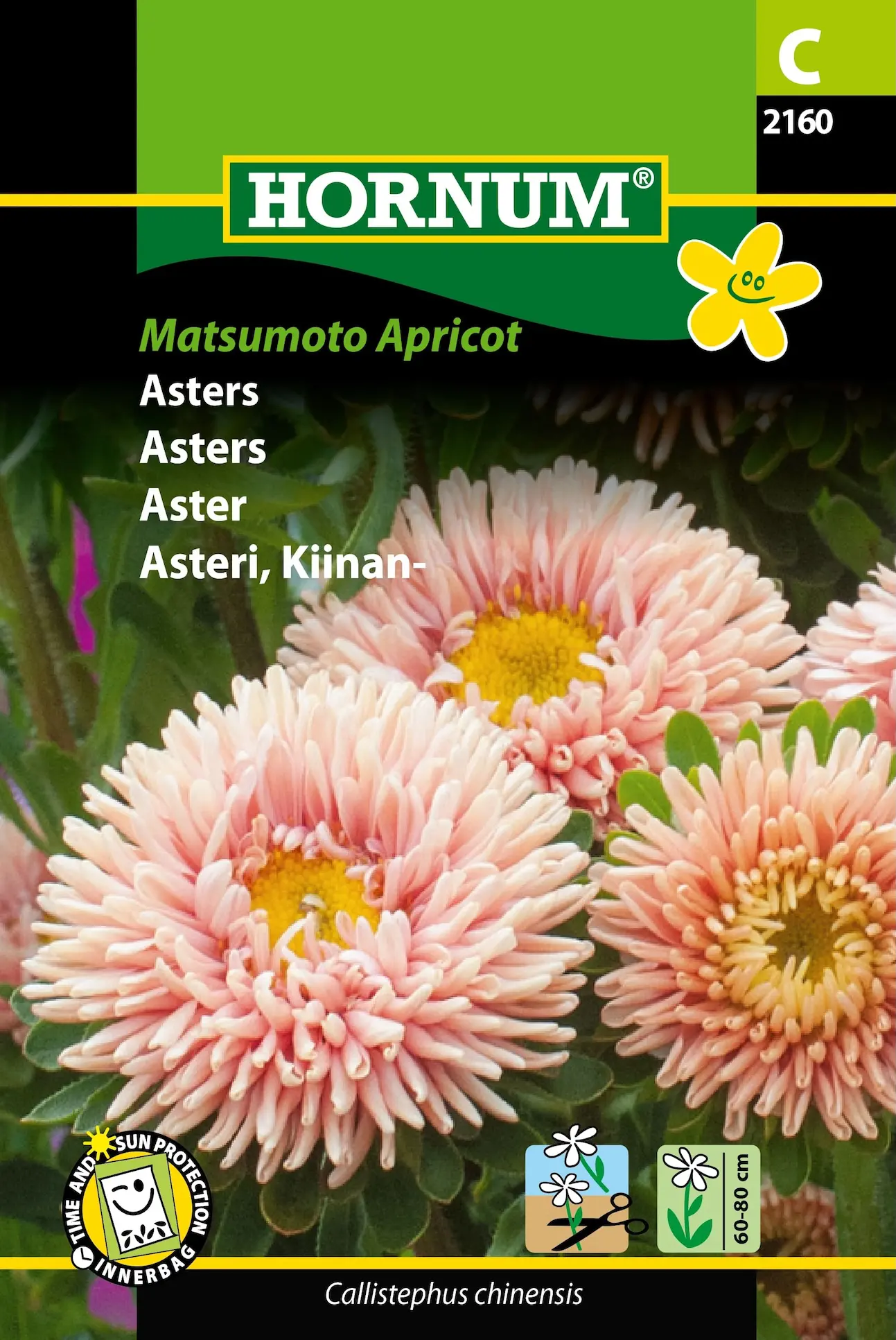 Asters “Matsumoto Apricot” – Abrikosfavede asters – Blomsterfrø