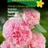 Stokrose – Charter’s Strain Light Rose – Lyserøde stokroser – Blomsterfrø