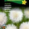 Duftsultan “The Bride” – Duftende og rigt blomstrende – Blomsterfrø