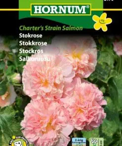 Stokrose – Charter’s Strain Salmon – Laksefarvede stokroser – Blomsterfrø