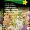 Levkøj blanding – Soft Flora Mix – Blomsterfrø