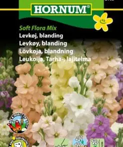 Levkøj blanding – Soft Flora Mix – Blomsterfrø