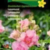 Løvemund “Doubleshot Appleblos” – Romantisk og duftende – Blomsterfrø