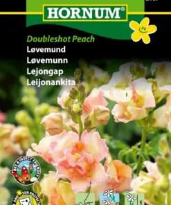 Løvemund “Doubleshot Peach” – Romantisk og duftende – Blomsterfrø