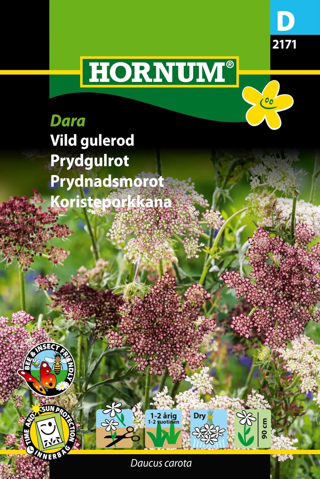 Vild gulerod “Dara” – Elegant skærmblomst – Blomsterfrø