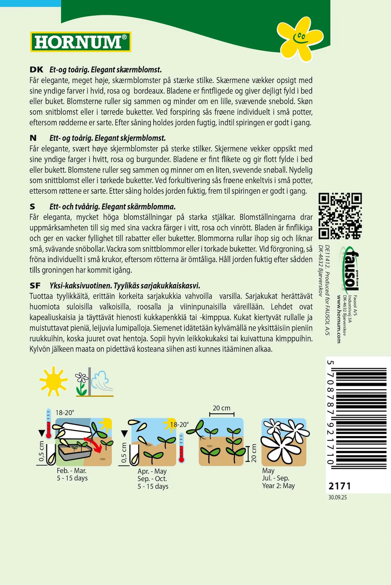 Vild gulerod “Dara” – Elegant skærmblomst – Blomsterfrø