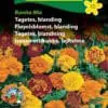 Tagetes blanding “Bonita Mix” – Tagetesblanding i gule, orange og brune nuancer – Blomsterfrø