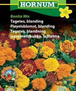 Tagetes blanding “Bonita Mix” – Tagetesblanding i gule, orange og brune nuancer – Blomsterfrø
