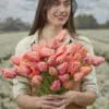 Tulipanløg “Apricot Impression” | Smuk Darwin Hybrid tulipan – Str. 12+ | FRA 5,40 KR